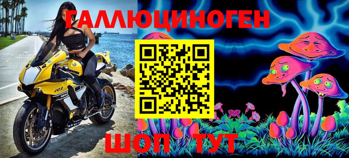 Галлюциногенные грибы Psilocybine cubensis Дербент