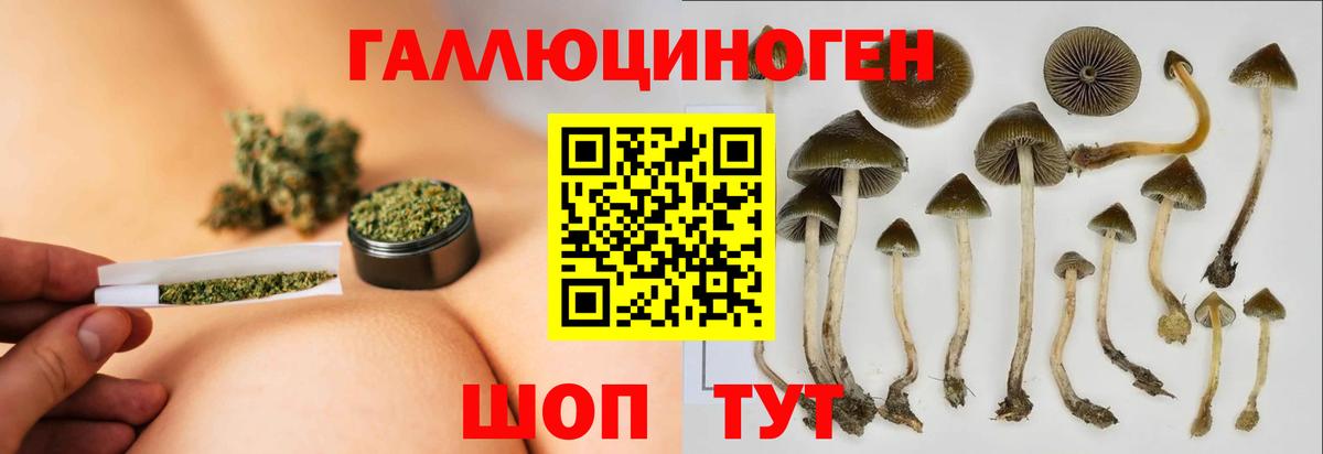 Псилоцибиновые грибы мицелий  цены наркотик  Вход с VPN  Дербент  Псилоцибиновые грибы GOLDEN TEACHER 